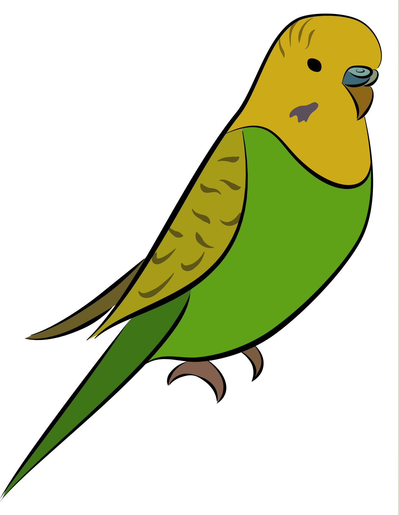 Illustration of Bird